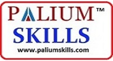 Palium Skills